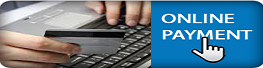 Online-payment
